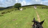 Trail Horseback riding Auritz - 2023 R2 J1 - Photo 16