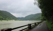 Randonnée A pied Haibach ob der Donau - CICONIA-Rundweg - Photo 3