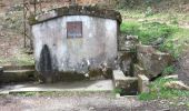 Excursión Senderismo Céret - Fontfrede -pic des salines par el coll de pois de neu - Photo 3