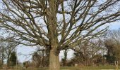 Trail Walking Saint-Pierre-de-Cormeilles - St Pierre de Cormeille - Photo 4