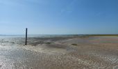 Trail Walking Le Crotoy - balade baie de somme - Photo 19