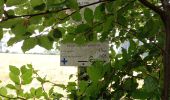 Trail Walking Vaux-sur-Sûre - Adeps 10 km Bercheux - Photo 1