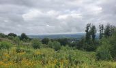 Tour Wandern Manhay - rando deux rys 29/06/2020 - Photo 14