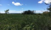 Tour Wandern Havelange - Bois, Rivière et champs - Photo 12