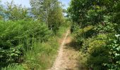 Trail Walking Chiny - Chiny via Burnéchamps - Photo 19