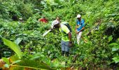 Excursión Senderismo Grand'Rivière - Boucle Fond Potiche - Photo 8