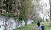 Tour Wandern Idron - IDRON  confinement 2eme - Photo 10