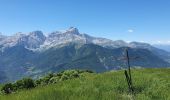 Randonnée Marche Monestier-d'Ambel - croix de la plaigni - Photo 5