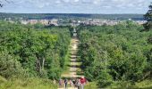 Randonnée Marche Fontainebleau - Boucle 20 km Fontainebleau vert galant - Photo 14