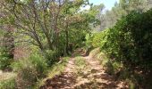 Trail On foot Puget-Ville - Ste Philomène-29-04-22 - Photo 2