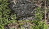 Tour Zu Fuß Tambach-Dietharz - Gelber Balken - Photo 1