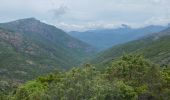 Randonnée Marche Manso - Corse 2023: Tuvarelli - Sierrera - Photo 4