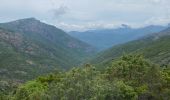 Excursión Senderismo Manso - Corse 2023: Tuvarelli - Sierrera - Photo 4