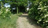 Trail On foot Jodoigne - #190000 - Souveraine Tienne Strichaux - Photo 11