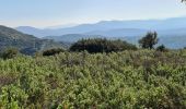 Randonnée Marche Sainte-Maxime - Vers Peigros - Photo 12