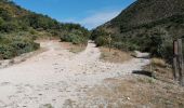 Tour Wandern Buis-les-Baronnies - Malpertuis - Milmandre - Ubrieux 04.08.2021 - Photo 3