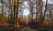 Excursión Senderismo Vieux-Moulin - en forêt de Compiègne_25_les Tournantes du Mont Saint-Pierre - Photo 2