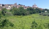 Randonnée Marche Bolsena - Acquapendente / Montefiascone - Photo 2