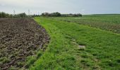 Randonnée Marche Chauffour-lès-Étréchy - Chauffour-lès-Etréchy Coteau des Verts Galants - Photo 9