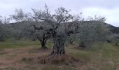 Tour Wandern Les Mées - LES MEES .Chapelle St Pierre , la Bressanne , la Bessonne o l s - Photo 1