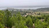 Tour Wandern Peyriac-de-Mer - peyriac bages peyriac - Photo 20