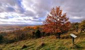 Tour Wandern Vernon - Les falaises de Seine de Vernon à Mantes la Jolie - Photo 6