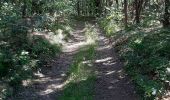 Trail Walking Arlebosc - arlebosc - Photo 3
