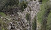 Trail Walking San Vito di Cadore - cinq tours 569m 10.34km - Photo 6