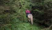 Trail Horseback riding Turquestein-Blancrupt - suuntoapp-HorsebackRiding-2025-08-31T06-50-03Z - Photo 1