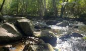 Tour Wandern Saint-Philbert-sur-Orne - Roche d’oëtre sentier du Granite - Photo 8