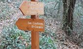 Trail Walking Saint-Cézaire-sur-Siagne - Chapelle Saturnin et bord de Siagne - Photo 8