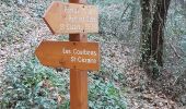 Excursión Senderismo Saint-Cézaire-sur-Siagne - Chapelle Saturnin et bord de Siagne - Photo 8