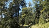 Excursión Senderismo Autrans-Méaudre en Vercors - Autrans - Gève - Bec de l'Orient - La Buffe - Photo 12