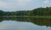 Percorso A piedi Teupitz - Rundwanderweg Tornower See und Briesensee - Photo 8