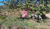 Trail Walking Port-Vendres - paullile - Cap bear via la mer retour via les vignes  - Photo 5