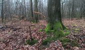 Tour Wandern Esneux - beauregard . famelette . roche aux faucons . plainevaux . beau beauregard - Photo 13