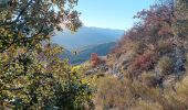 Percorso Marcia Sisteron - sur les hauteurs de sisteron - Photo 15