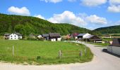 Tocht Te voet Kipfenberg - Rundwanderweg Kipfenberg 15 - Photo 2