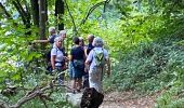 Tour Wandern Dinant - Falmagne - Photo 16