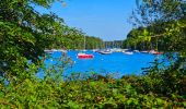 Tocht Stappen Froidchapelle - Balade au Lac de l'Eau d'Heure - Photo 8