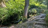 Tocht Stappen Ottenhöfen im Schwarzwald - Karlsruher Gray - Photo 8