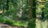 Trail Walking Villers-Cotterêts - maison forestière de mortefert > (vers) billemont > (vers) villers cotteret - (vers) baisemont > maison forestière de mortefert - Photo 11