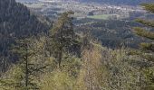 Excursión Senderismo Celles-sur-Plaine - circuit du col coquin  - Photo 1