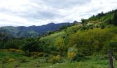 Randonnée Marche Jaujac - Jaujac Le Ventapet 14km - Photo 1