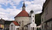 Tocht Te voet Gemeinde Scheiblingkirchen-Thernberg - Scheiblingkirchen: Erzherzog Johann 