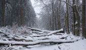 Randonnée Marche Spa - entre fagne et bois - version courte - Photo 1