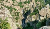 Tocht Stappen La Bastide-Puylaurent - Randonnée de la Bastide Puylaurens à la Garde Guérin - Photo 1