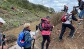 Percorso Marcia Charleval - PF-Charleval - Les Costes - Bois des Taillades - Cuou de Peyrou - Photo 11