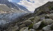 Excursión Senderismo Chamonix-Mont-Blanc - Argentieres, plan Joran,glacier,croix Lognan,les tines - Photo 8