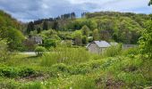 Trail Walking Dinant - Foy Notre Dame 250424 - Photo 12